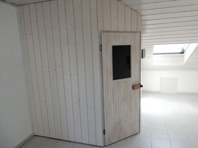 Sauna (Dach)