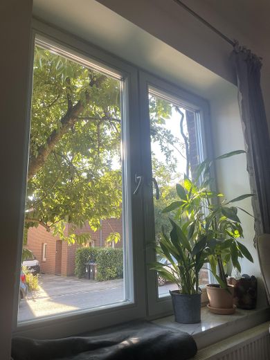 Ausblick zur Straße