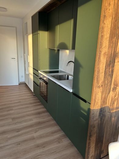 Möbliertes Apartment für Pendler, Fachkräfte, Führungskräfte – Küche mit Spülmaschine