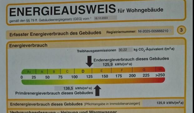 Auszug Energieausweis