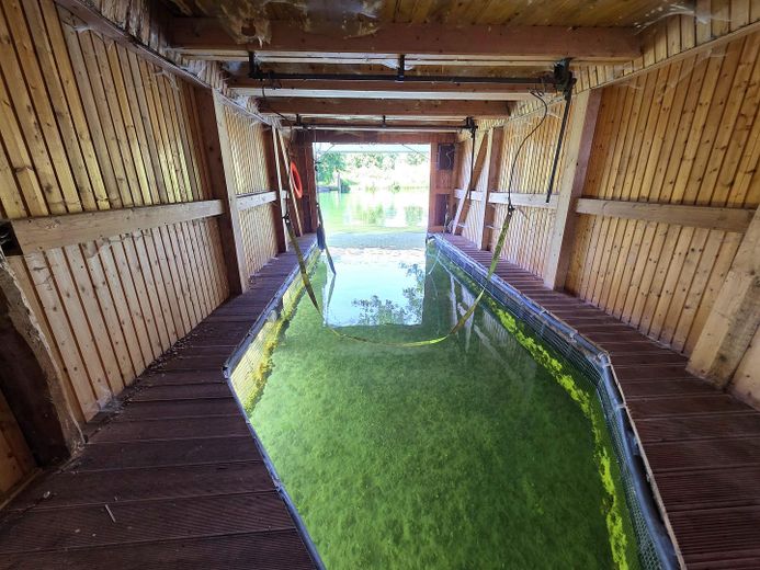 Einzelnstehendes Bootshaus mit 3 Bootsboxen in einmaliger Wasserlage in Schwerin – फोटो 12