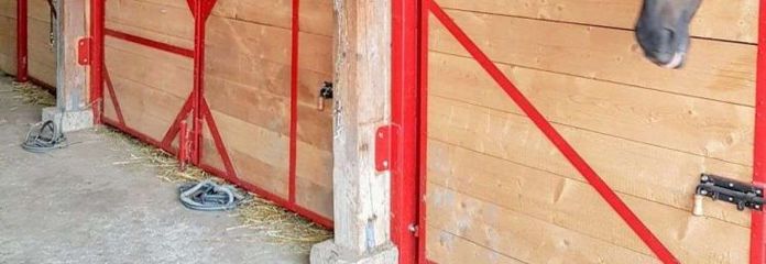 Equestrian Property with Two Residential Units in Wahmbeck in the District of Nordheim