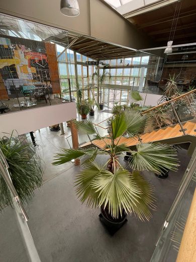 Office space in a prime location – Gollheide 8–10 in Bochum – Foto 4