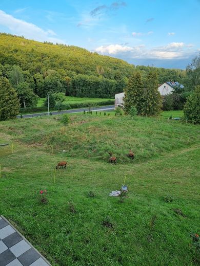 Café-Bistro,Restaurant im Naturpark Kellerwald 34630 Gilserberg – Garten