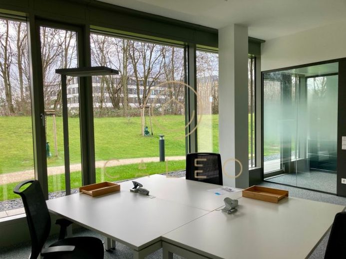 CALEO ¦ Gonzenheim ¦ flexibel + sofort bezugsfertig ¦ all inclusive ¦ PROVISIONSFREI – Foto 1