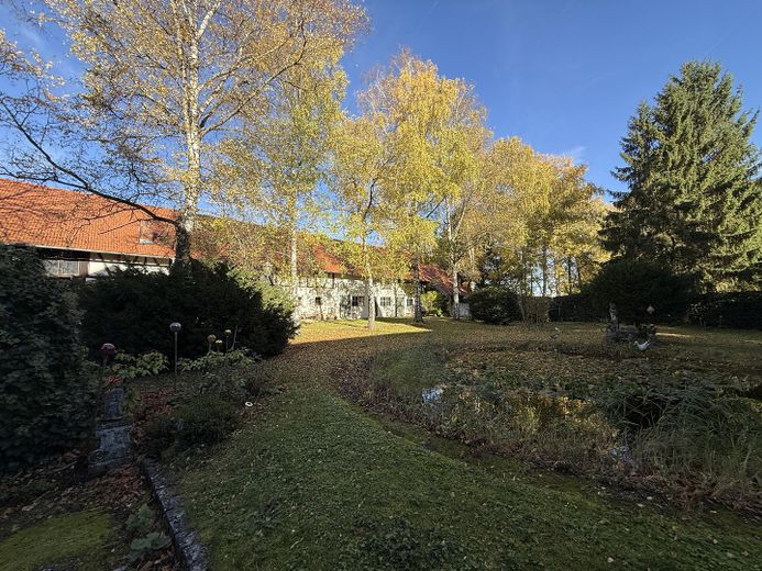 Seerosenteich, Birkenallee