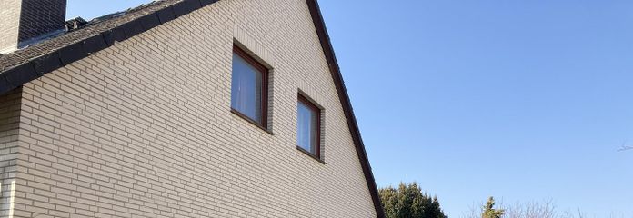 hintere Ansicht mit Schuppen