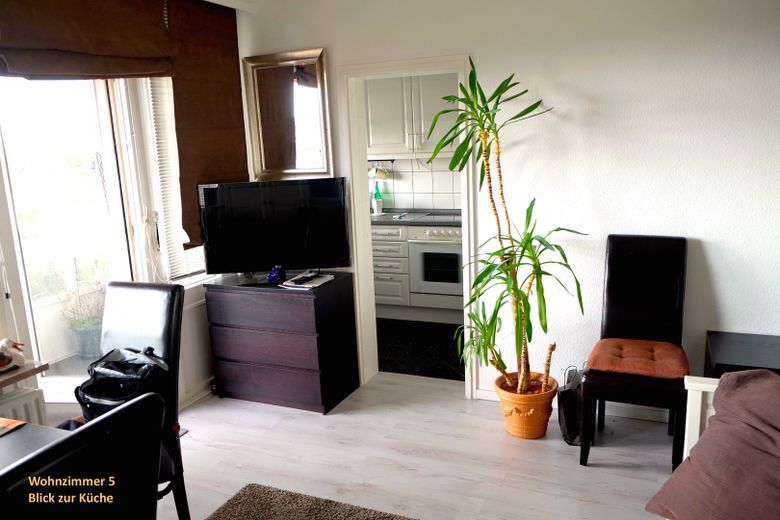 Möbl. 1,5-Zi.Whng m. tollem Elbblick, zentr. HH-Altona, all-in: Heizung/Strom/Wasser/Tel/WLAN... – Wohnzimmer 4