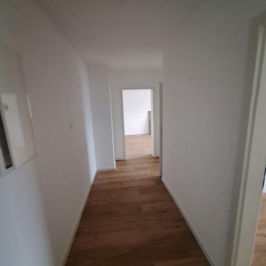 Frisch sanierte, helle 2-Zimmer-Wohnung in Ketsch – Flur