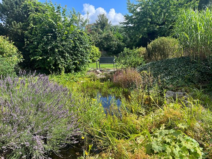 Charmantes Haus mit traumhaftem Garten – Foto 4