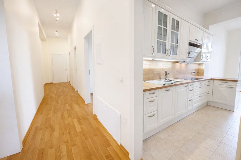 Herrschaftliche Hochparterrewohnung mit Terrasse, Kamin, Carport, in ruhiger Lage – Flur