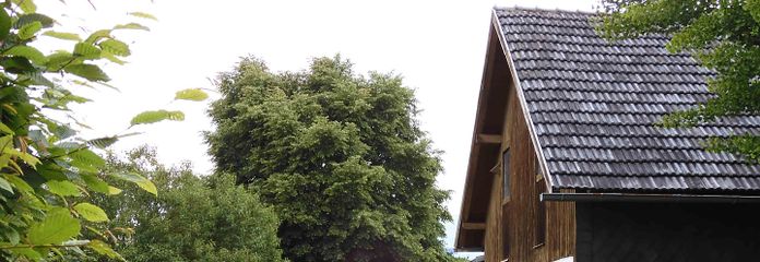 Blick von der Straße aus