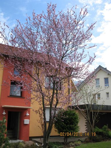 Außenansicht im Frühjahr