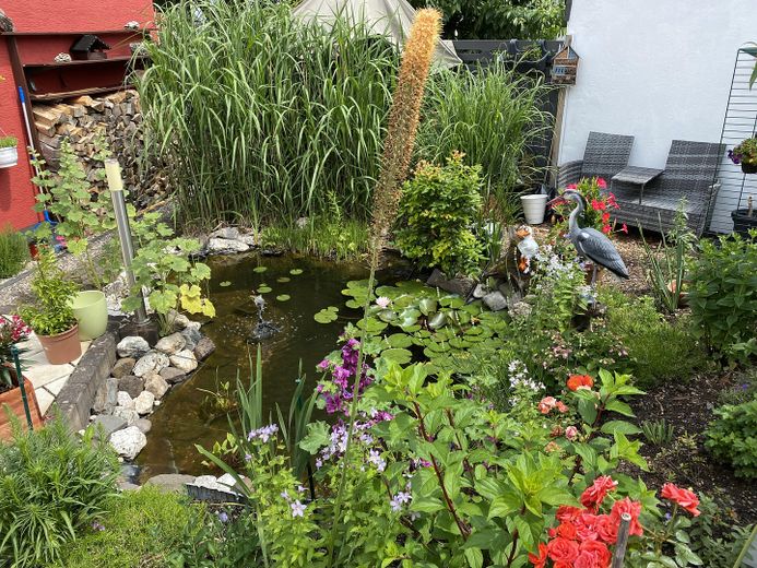 Koblenz Einfamilienhaus in guter Lage – Terasse mit Teich