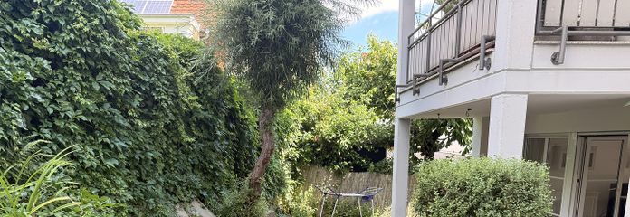 Garten mit überdachter Terrass