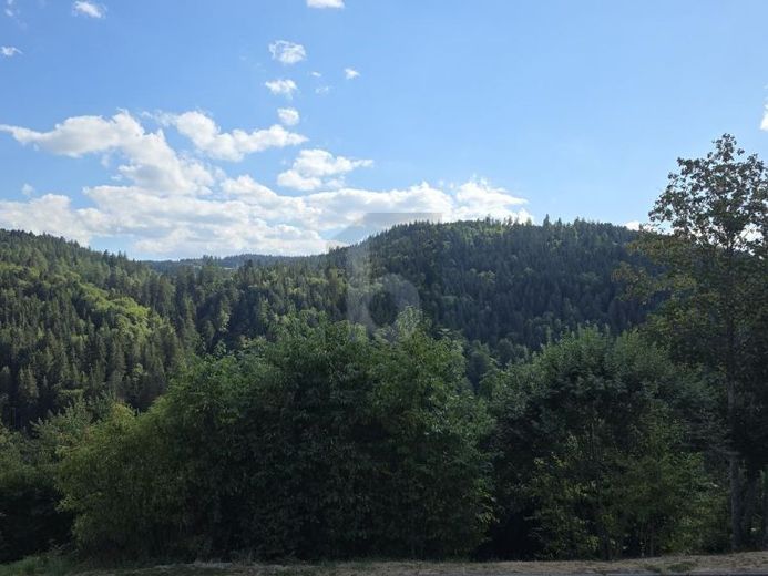MEHRPARTEIEN MÖGLICH - IM LUFTKURORT – Foto 1