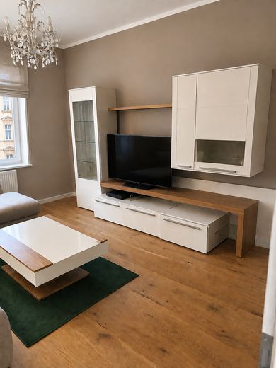 Stilvoll kernsanierte 4-Zi-Altbau-Wohnung mit Wohnküche – Wohnzimmer