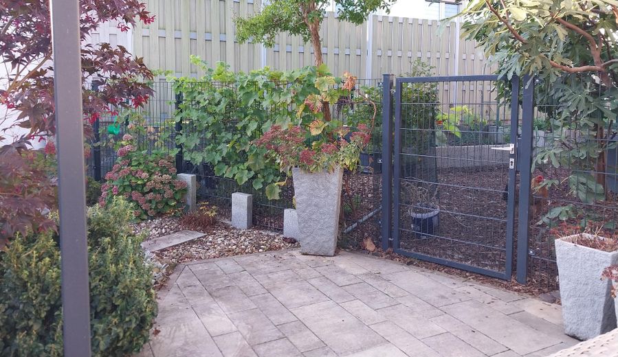 Garten Zugang zum Nutzgarten