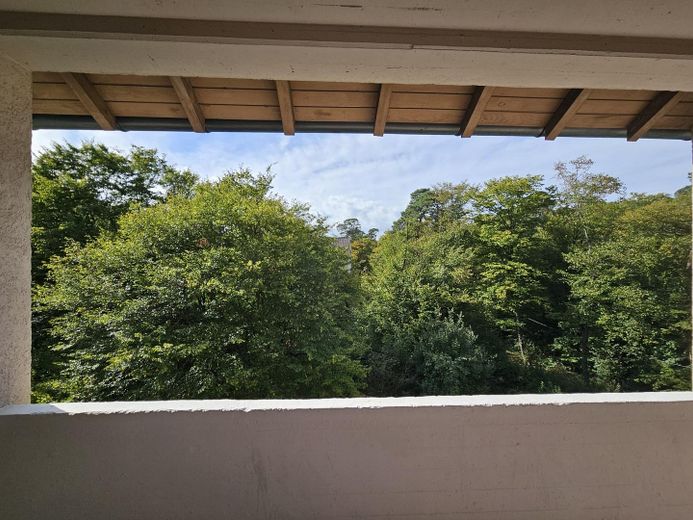 Kapitalanlage mit hoher Rendite: Helle sanierte Wohnung mit Balkon – Balkon Aussicht