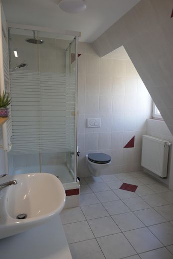 Badezimmer mit Dusche und WC