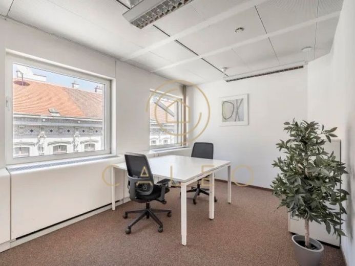 CALEO ¦ Bezirk 1 ¦ Kärtner Ring ¦ flexibel + sofort bezugsfertig ¦ All-in-Miete ¦ PROVISIONSFREI – Foto 1