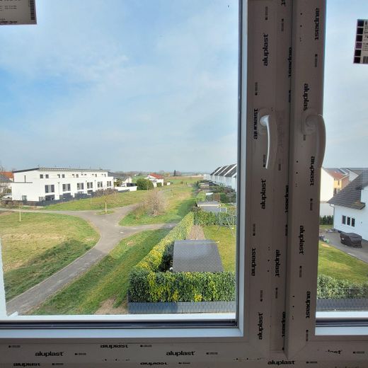 DG Ausblick