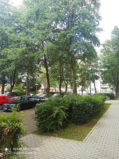 Außenanlage I 