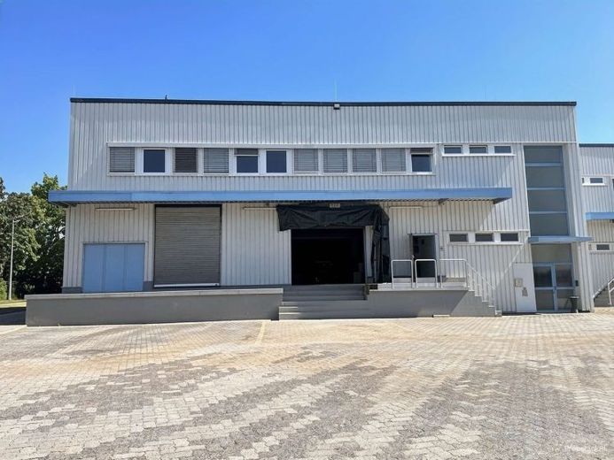 981 m² Lagerfläche ( Rampe + ebenerdig ) + 120 m² Bürofläche – Foto 1