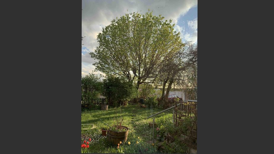 Großes, helles Reihenendhaus mit Garten in Stutensee-Blankenloch – direkt bezugsfertig – 4_Garten