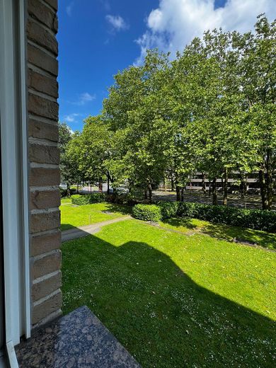 Geschmackvolle 3,5-Zimmer-Wohnung in Holthausen mit gut ausgestattetem Wohnbereich, Balkon und EBK – Foto 11