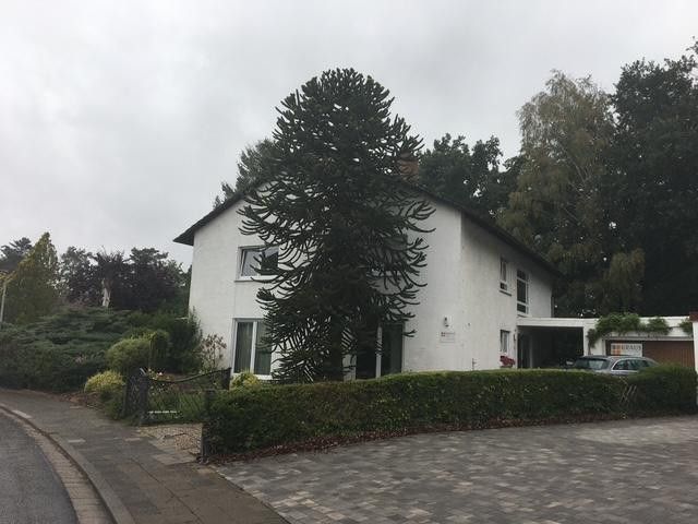 Großes Mehrfamilienhaus mit 5 Wohneinheiten - EG komplett barrierefrei – Foto 6
