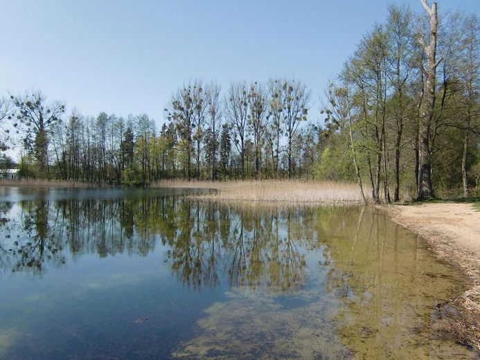 ETW, App., LOFTS, Ateliers zw. Rostock & Müritz (Wohnen in histor. Ambiente / im Eigentum)! – 'Beach' an unserem Naturgrdst.