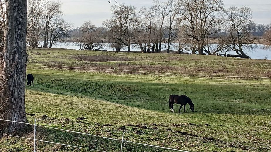 Einfamilienhaus in traumhaft idyllischer Lage an der Elbe – Foto 23