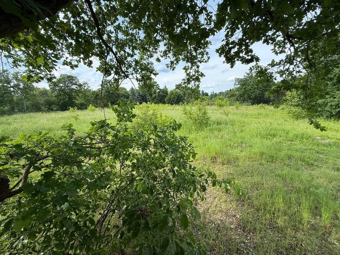 MAKLERFREI Projektstart sofort möglich: ca. 7.000 m² Gewerbegrundstück mit erteilter Baugenehmigung – Foto 15