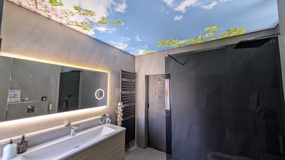 Ruhiges Wohnen in begehrter Lage mit viel Platz im ausgebauten Nebengebäude – Badezimmer 1.OG Gesamtsicht 2