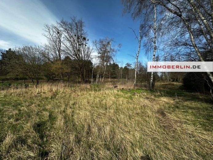 IMMOBERLIN.DE - Großes Wiesen-/Freizeitgrundstück mit Umwidmungspotential für Bauland – Foto 1