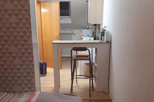 Beautiful functional 1-room apartment
