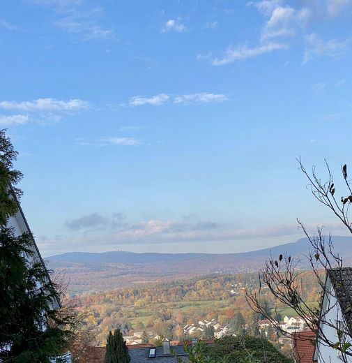 Wo Wald auf Weitblick trifft – Traumvilla mit Taunus- und Skyline-Panorama – Fernblick