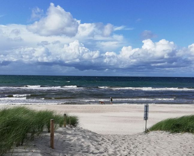 Strand
