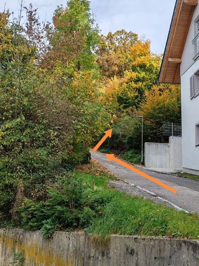 Attraktives Baugrundstück in Hanglage in Pfarrkirchen – Bild 1