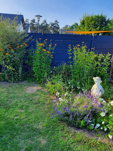 Attraktives freistehendes Einfamilienhaus mit großem Garten und PV-Anlage in Hanau/ Großauheim – Foto 5