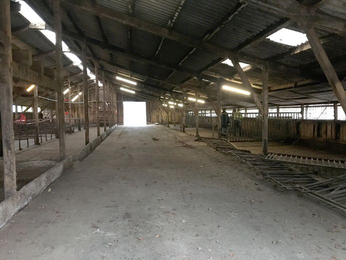 XL-gospodarstwo rolne nad jeziorem Vörder See! Działka 14.013 m² – miejsce dla zwierząt i na hobby – Stall