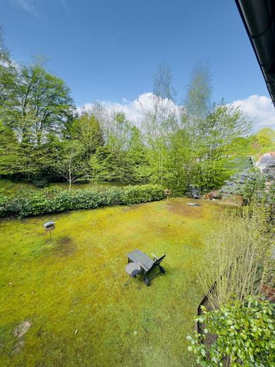 Mehrfamilienhaus in Bergisch Gladbach mit großem Grundstück &amp; Entwicklungspotenzial – Ausblick in den Garten