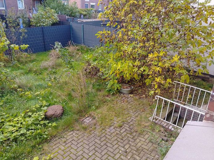 Gartenblick