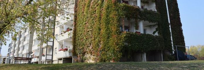 3-R-Wohnung mit Balkon