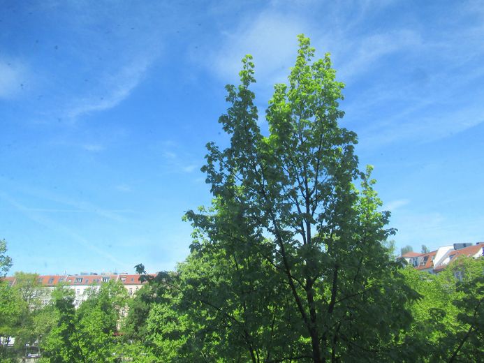Friendly 2-room apartment in a quiet rear courtyard location right by Boxi – Photo 1