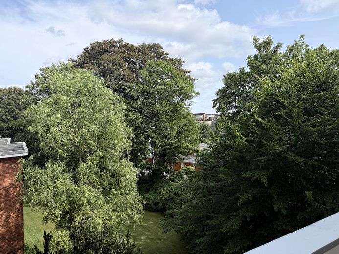 Blick aus der Küche