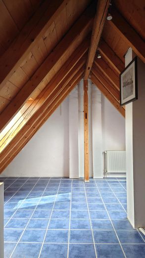 Quiet house in Munich Pasing on a large plot – DG Nord