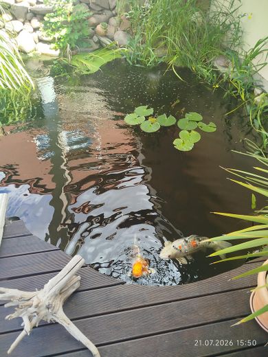 Mediterranes EFH im Bungalowstil – Foto 20