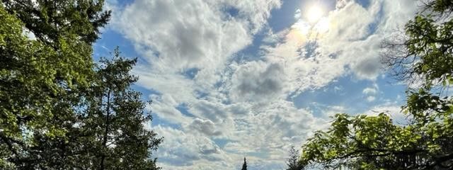 Blick über die Stadt